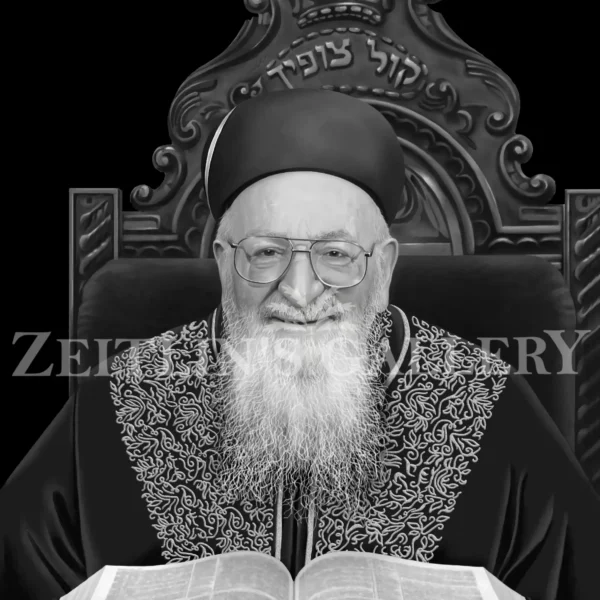 Rabbi Mordechai Eliyahu Black & White