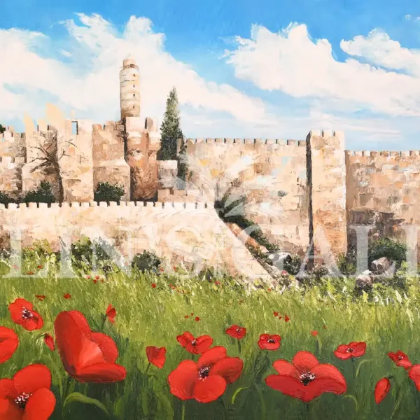 Anemones in Jerusalem panoramic