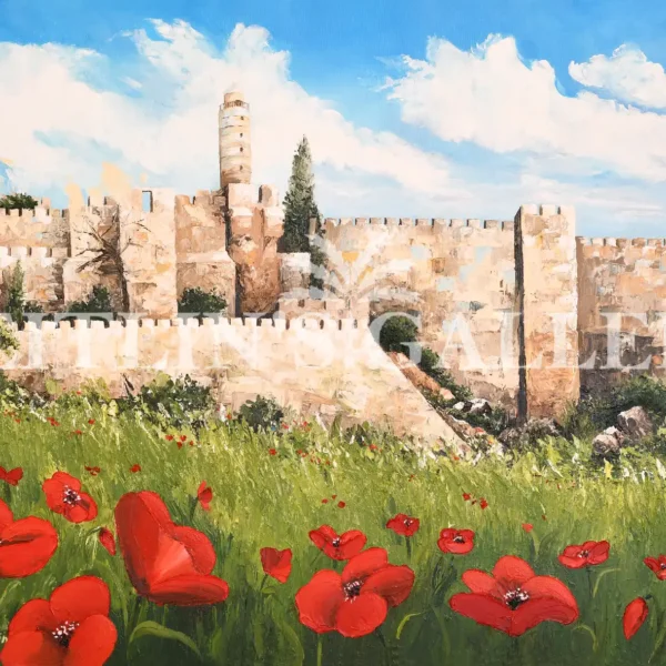 Anemones in Jerusalem Horizontal