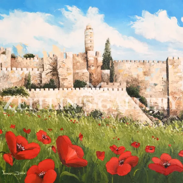 Anemones in Jerusalem Square