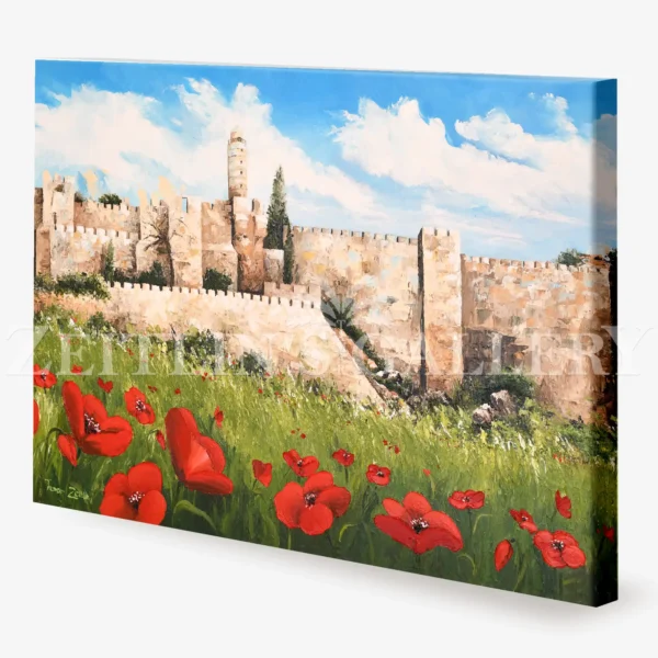 Anemones in Jerusalem Horizontal