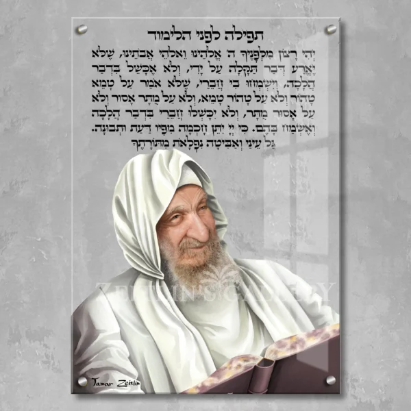 Baba Sali study Torah