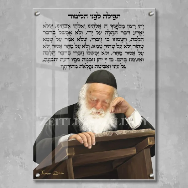 Rabbi Chaim Kanievsky study Torah