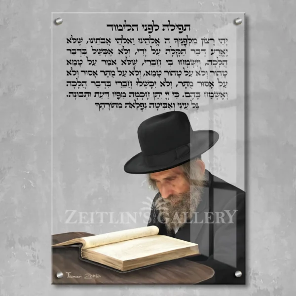 Rabbi Shteinman study Torah