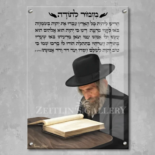 Mizmor Letoda Rabbi Shteinman